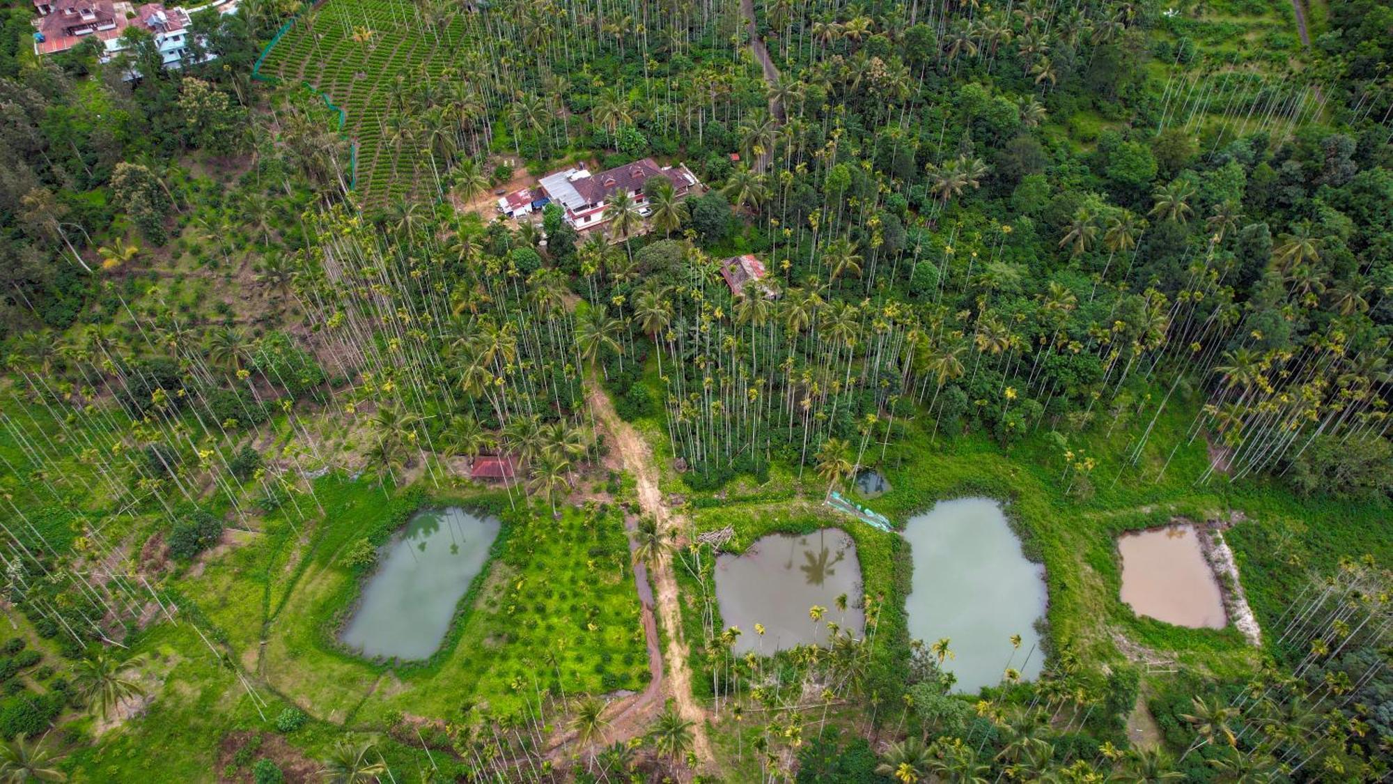 شقة Wayanad Palm Grove Retreat G Floor سلطان بتيري المظهر الخارجي الصورة