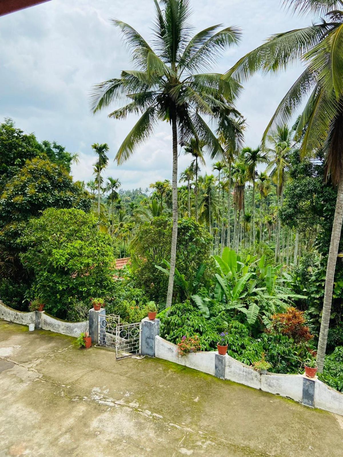 شقة Wayanad Palm Grove Retreat G Floor سلطان بتيري المظهر الخارجي الصورة